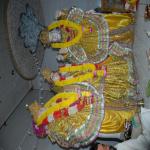 Vraj-Yatra-2014- (780)